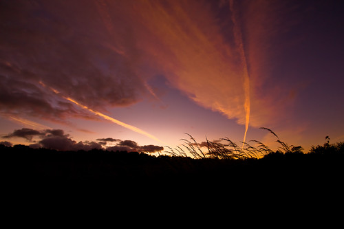 autumn sunset sky usa fall nature grass silhouette wisconsin clouds landscape photography evening photo midwest contrail image dusk picture madison american northamerica prairie canonef1740mmf4lusm cherokeemarsh canoneos5d danecounty lorenzemlicka