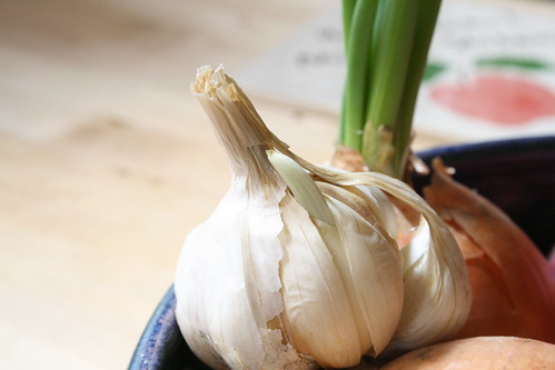 Garlic sprouting!