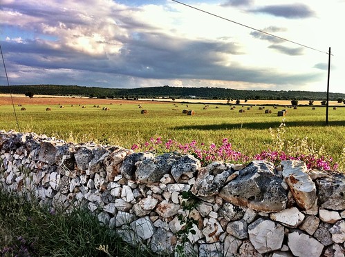 sky italy panorama tree nature clouds landscape countryside italia country puglia iphone apulia iphoneography