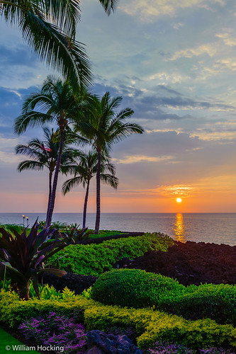 sunset sky usa hawaii unitedstates bigisland hilo locations sunsetsunrise waikoloa sceniclandscape haliikai