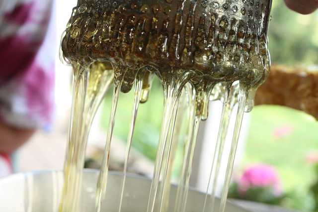 4. The honey comes pouring out