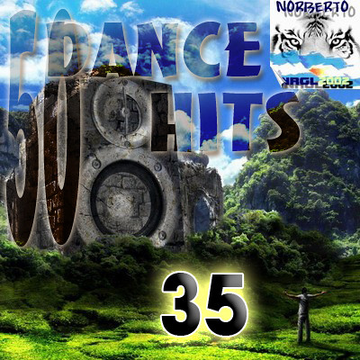 DANCE HITS 35