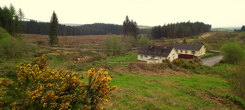 ireland nature weather spring may dry windy overcast ulster cottages mild tyrone 2014 scenicview opticalzoom bridgecamera bluemelanistic fujifinepixhs10hs11 heavyforestfelling