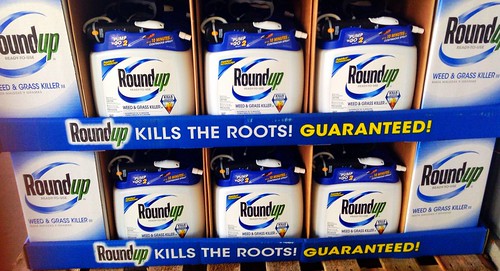 RoundUp Monsanto