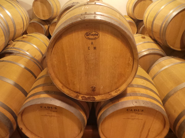 Wine barrels, Bordeaux June 9, 2014 045