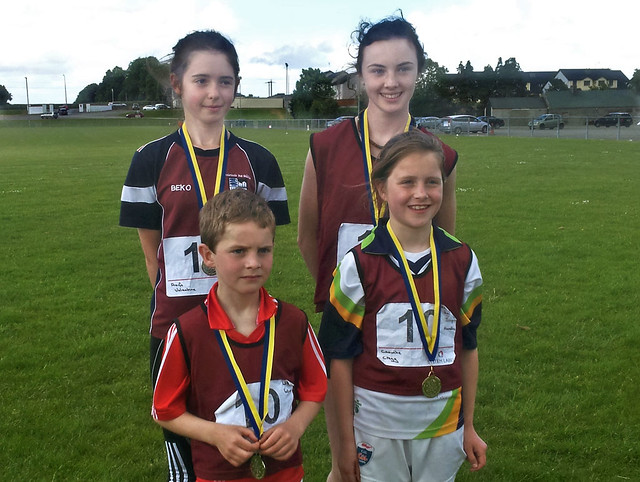 Roscommon Community Gold winners 2014