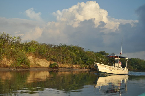nikon nubes veracruz manglar manglares tamiahua lagunadetamiahua xavorob viveméxico cotorreoestudiantil nikond5100