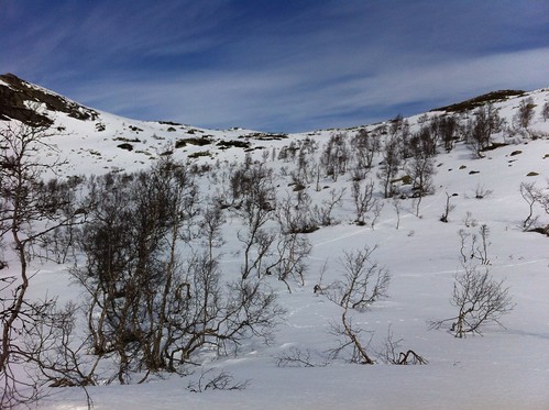 snow ski 2012 snø