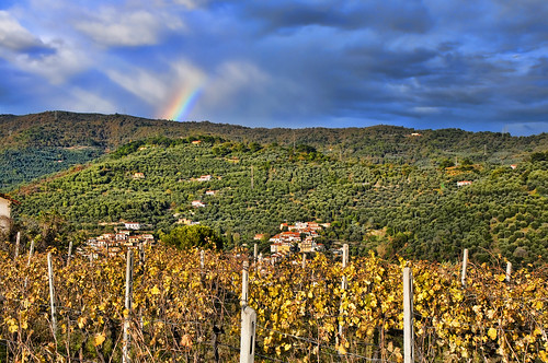 autumn light sky italy cloud colour fall nature landscape countryside vineyard rainbow bravo italia liguria fallcolours dianocastello golfodianese
