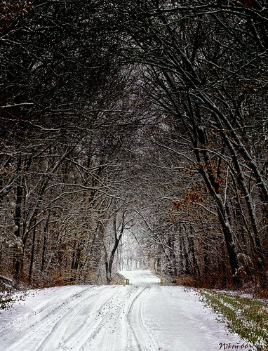 road snow nikon d300 platinumheartaward 70200mmf28nikkor ©copyright