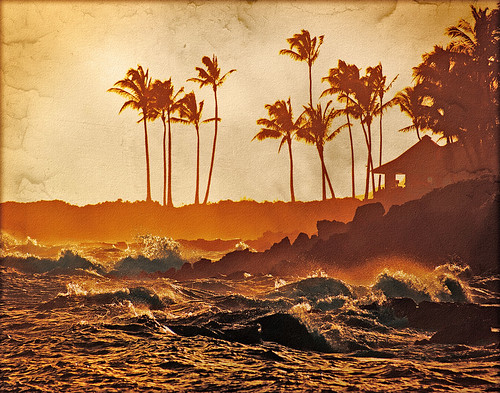 sunset texture beach palms hawaii silhouettes kauai lawai