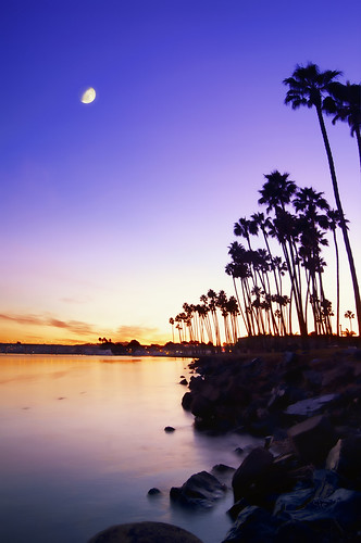 blue sky orange water sunrise bay rocks purple sandiego palmtrees missionbeach missionbay danalanding