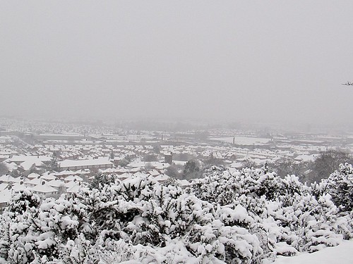winter snow weather landscape scenery