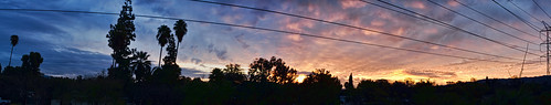 california morning trees sky panorama nature clouds sunrise pano powerlines wires