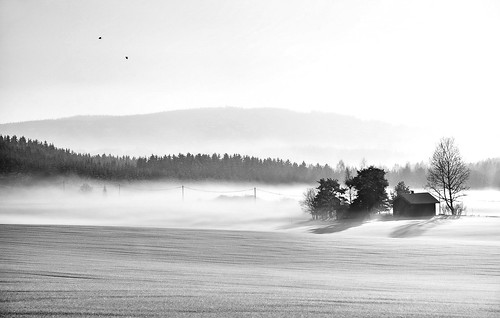 blackandwhite bw nature norway fog landscape norge blackwhite vinter nikon highkey nes hus snø tåke romerike sorthvitt d300 kaldt nbw artinbw