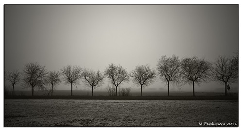 bw blancoynegro raw paisaje canon5d invierno frío niebla ciudadreal lamancha canon2470l