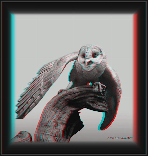 blackandwhite bw sculpture detail bird art nature beautiful stereoscopic 3d md gallery brian fineart maryland anaglyph monotone carving indoors stereo owl wallace inside grayscale chacha expensive depth easton skill decoy stereoscopy stereographic ewf artpiece brianwallace stereoimage eastonwaterfowlfestival stereopicture