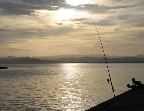 sea newzealand silhouette evening fishing nz gisborne eastcape waikanaebeach
