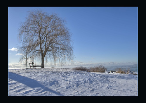 park winter snow ontario canada tree landscape nikon scarborough bluffs nikkor hdr bluffers photomatix 2470mmf28 d700