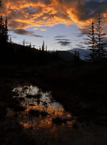 sunset canada reflection water silhouette clouds nationalpark jasper alberta campground wabasso