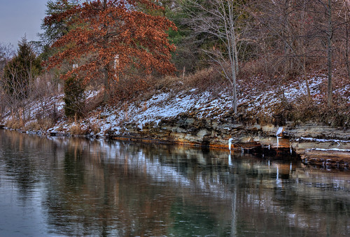 trees winter lake ice nature water canon reflections landscape frozen pond kentucky icicle louisville hdr canonxsi