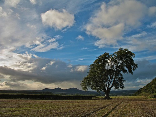blue trees sky green clouds scotland hills land plough hedges eildon
