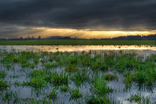 county sky sun reflection nature field grass clouds landscape washington nikon state flood valley skagit rays hdr d7000