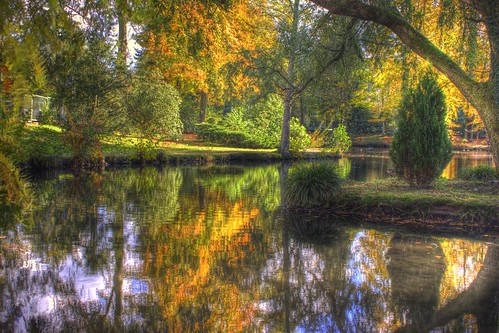 park autumn reflection water germany geotagged deutschland pond hessen spa hdr 2010 mkk hesse kurpark spessart photomatix badorb mainkinzigkreis axeld