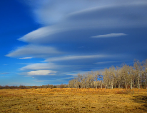 blue light sky cloud color art nature field yellow composition woods colorado day cloudy scenic meadow pasture handheld lenticular hdr bouldercolorado photomatixpro canonpowershotsd780is