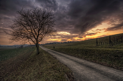 canon eos 450d sigma 1020mm hdr photomatix nature paysage landscape arbre tree champs field campagne meadow coucher soleil sunset colors couleurs sky nuages clouds orbe suisse philippesaire wideangle switzerland swiss schweiz photo photography ciel