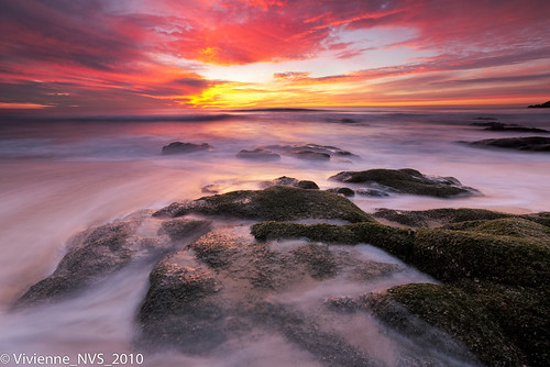 ocean california sunset beach rocks graywhalecove