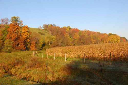 autumn fall landscape pennsylvania oct westernpennsylvania avella