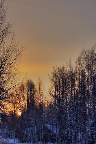 winter finland landscape wintersolstice punkaharju