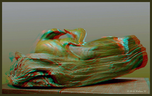 sculpture art festival stereoscopic 3d md brian anaglyph carving indoors stereo wallace inside easton stereoscopy stereographic ewf brianwallace stereoimage stereopicture massryland eastonwaterfowl