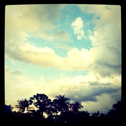 trees sunset clouds palms square outside afternoon squareformat southflorida justclouds iphoneography instagramapp uploaded:by=instagram foursquare:venue=3781946