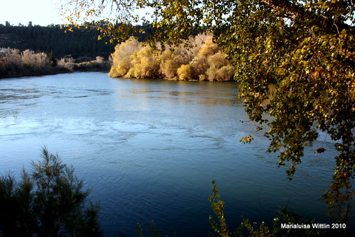 trees españa water river spain catalunya cataluña ebroriver rioebro tivenys marlis1 t301tivenyscataluñaespaña