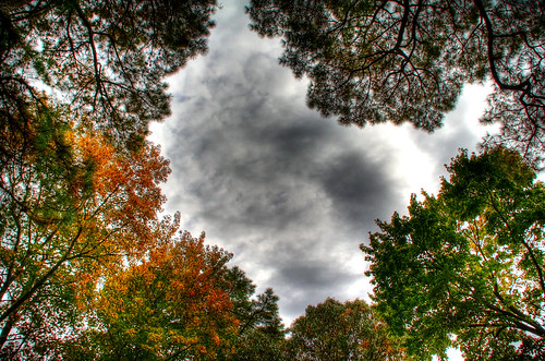 fall beach leaves clouds virginia university va regent hdr highdynamicrange photomatix 3exp
