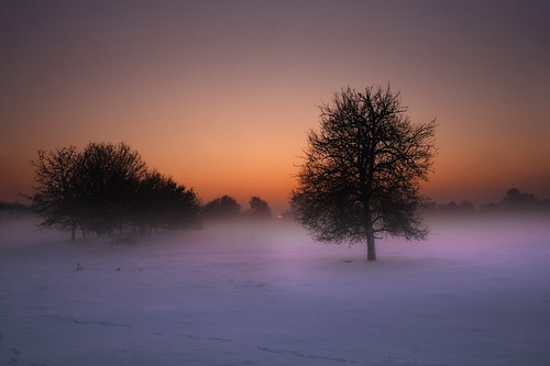winter sun snow holland netherlands dutch fog forest canon landscape sigma venlo limburg dutchlandscape 1530mm 40d scavo scavo75
