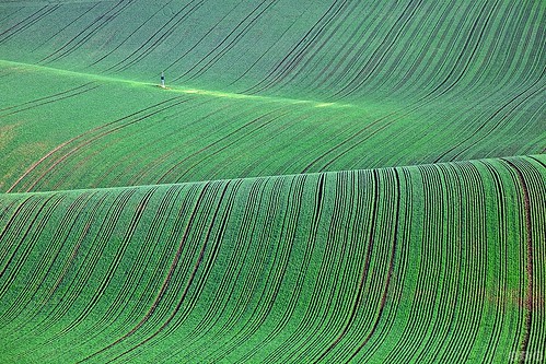 morning green field landscape czech wave pole czechrepublic bohemia moravia morava vlny abigfave colorphotoaward jižnímorava vlnitákrajina zelená ráno
