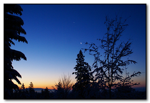 trees sky moon colors sunrise washington spokane venus silhouettes newyearseve