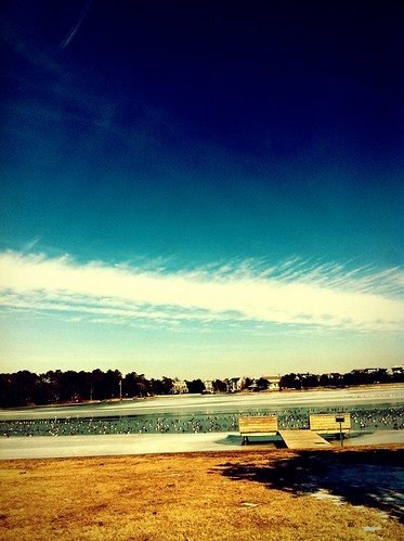 camera trees houses shadow sky cloud lake grass geese dock 365 iphone 365project iphone4 iphoneography irisphotosuite