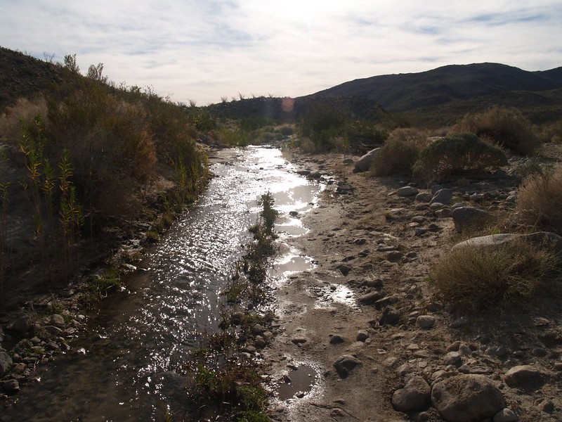 Coyote Canyon Road and Coyote Creek are the same thing along here, near Third Crossing.