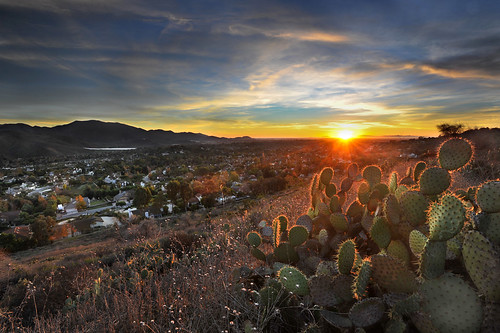 sunset cactus clouds camarillo