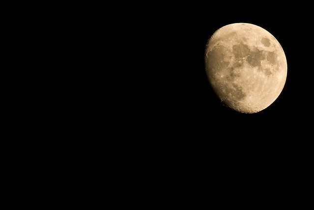 night Moon