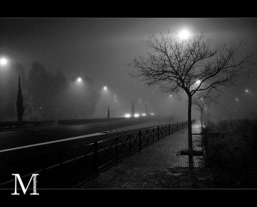 road light tree luz fog night arbol luces noche farola shadows carretera noise farolas sombras niebla ruido