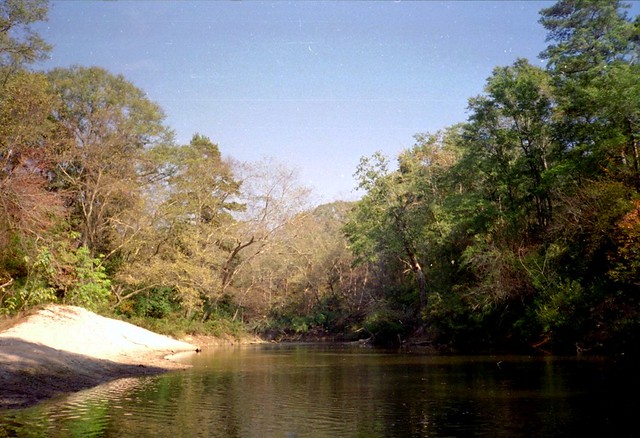 Okatoma Creek, Mississippi, USA--- A late November run. - Song of the  Paddle Forum