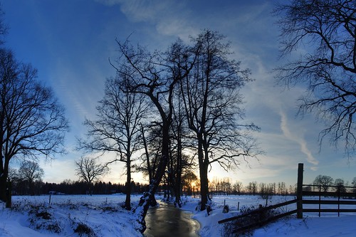 blue schnee trees sunset sky snow cold ice silhouette sonnenuntergang himmel website eis bäume hdr hugin photomatix camera:model=dslra100 meta:exif=1294566889