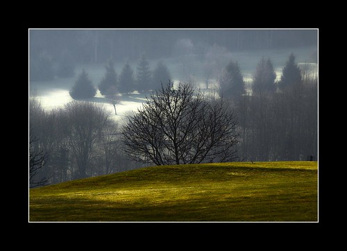 winter bayern bäume spaziergang badgriesbach rauhreif rottal updatecollection rottalerhügelland