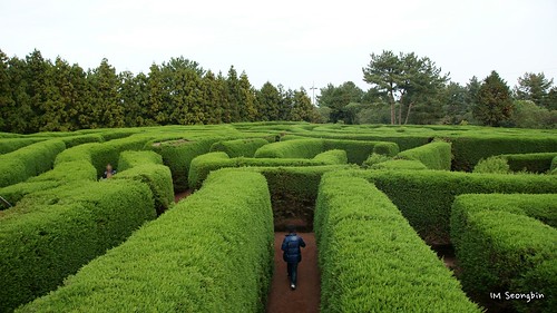 Maze, by golbenge