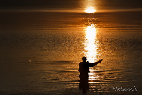 sunset shadow sea orange sun lake fish man black reflection water silhouette contrast dark person mirror golden fly fishing waves angle outdoor flyfishing ripples outline chiemsee backlighting angling